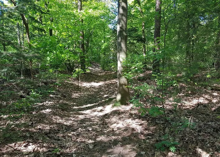 Knusse Veluwe * Otterlo