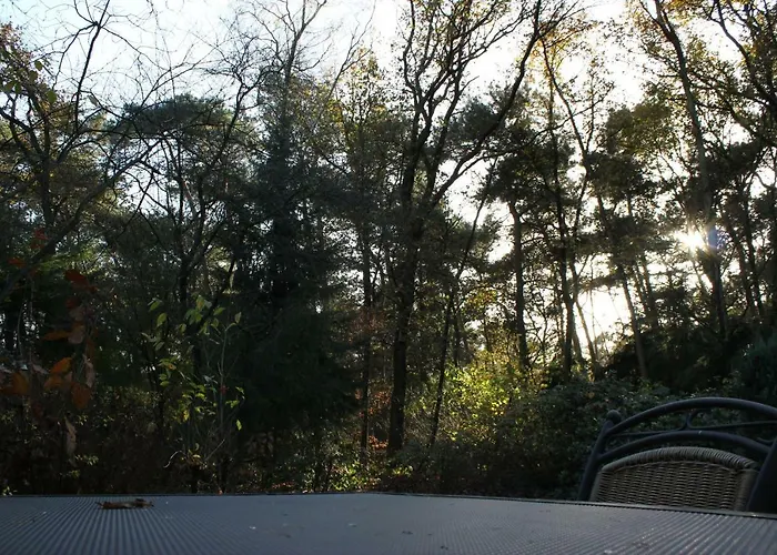 Knusse Veluwe Appartement *