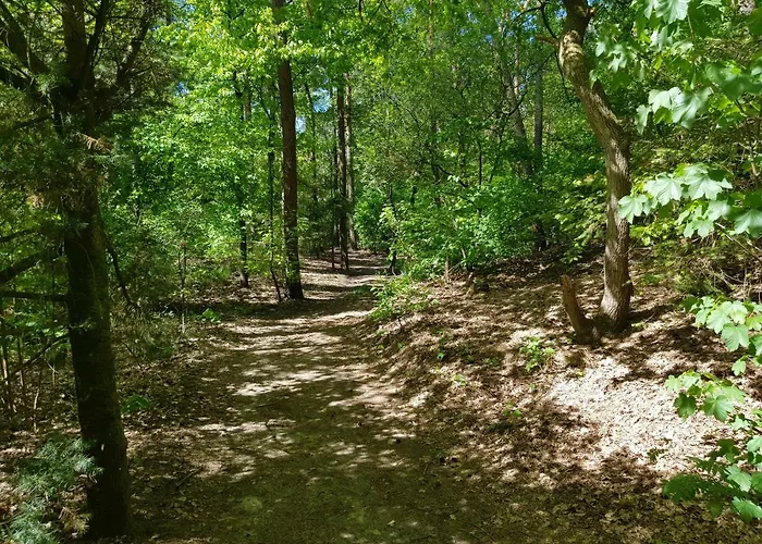 Knusse Veluwe Appartement *