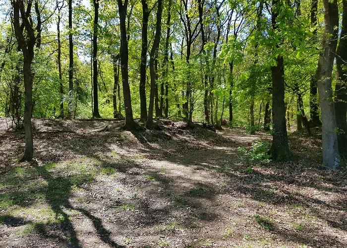 Appartement Knusse Veluwe Otterlo