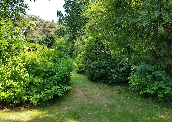 Knusse Veluwe * Otterlo