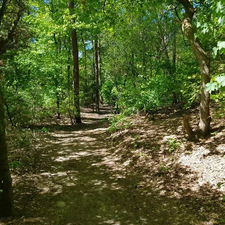 Knusse Veluwe Διαμέρισμα *