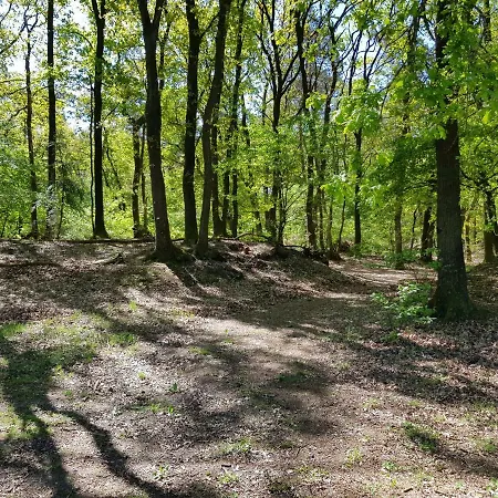 Διαμέρισμα Knusse Veluwe Otterlo